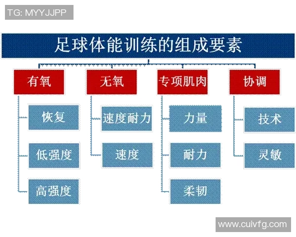 上海足球队耐力表现数据分析揭示运动员体能训练与比赛成绩的关系