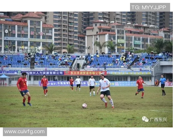 东兴足球明星队员名单揭晓球迷期待新赛季精彩表现与激情对决